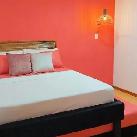 Guest house Hb7 Quadruple With Shared Bathroom *